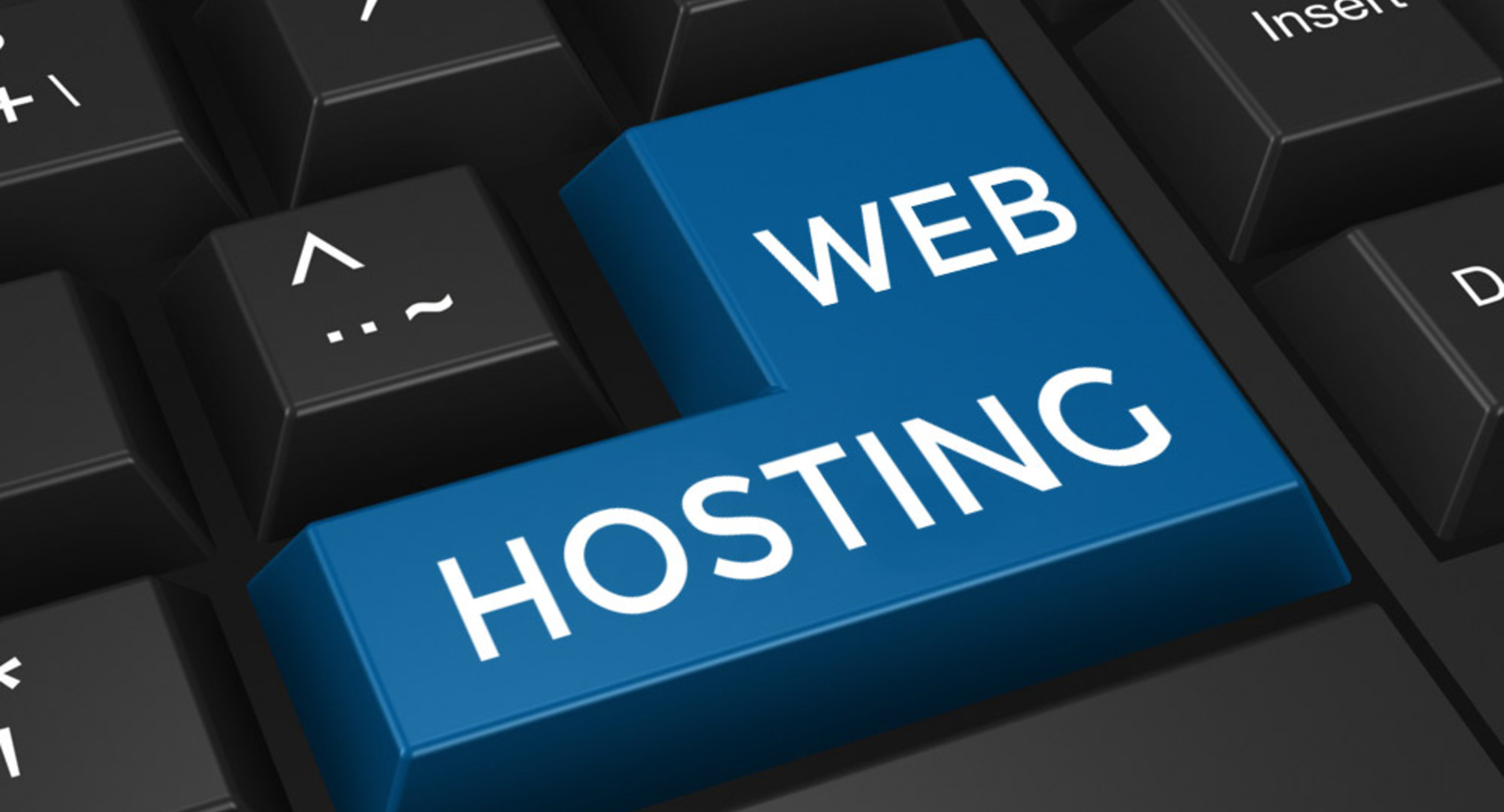 shingalainfotech | Web Hosting Services
