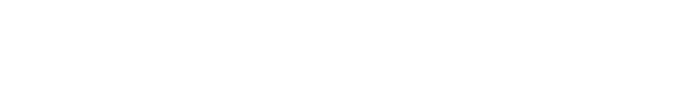 shingalainfotech